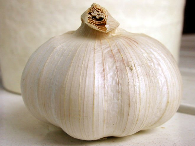 b1garlic001