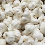 garlic3