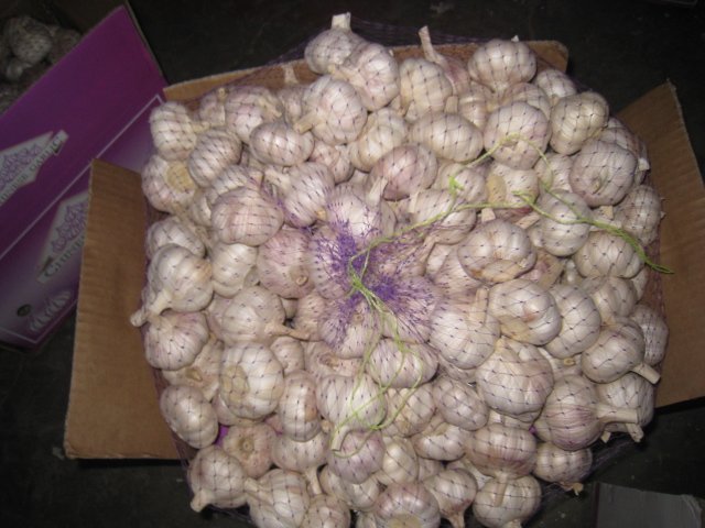 Normal White 10kg