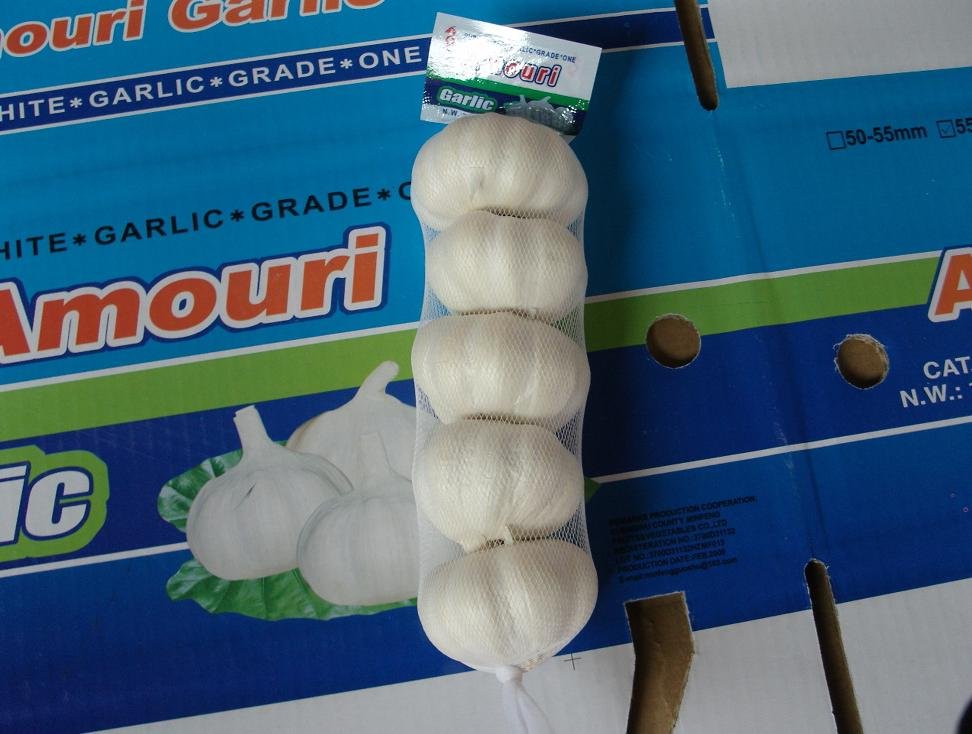 pure white,size5.0.JPG