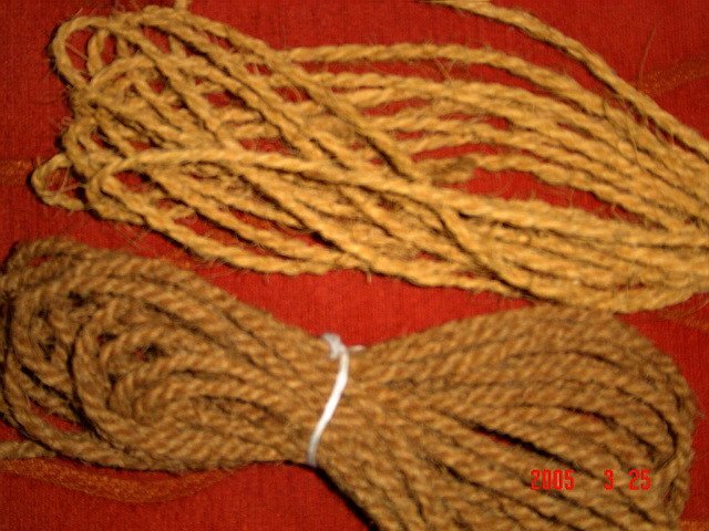 Coconut Yarn