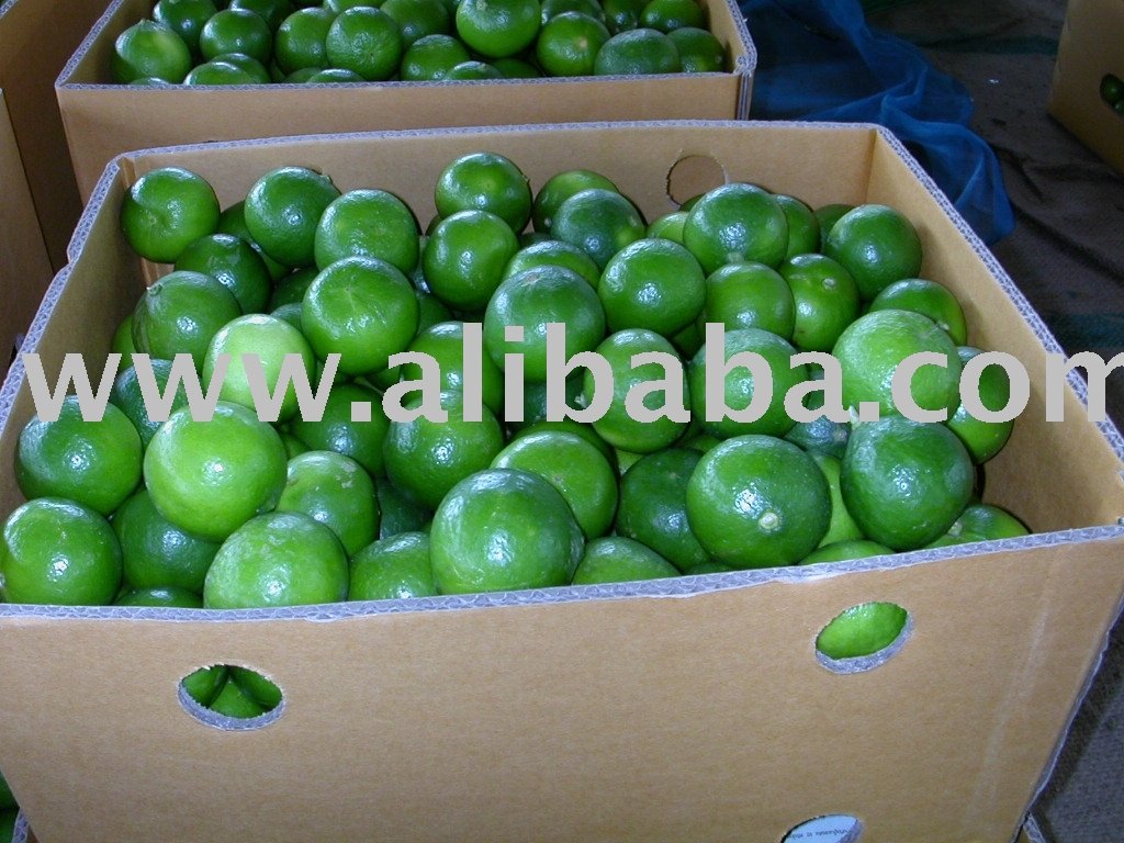 fresh-lime-products-sri-lanka-fresh-lime-supplier