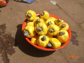 dried raw cashew nuts in shell