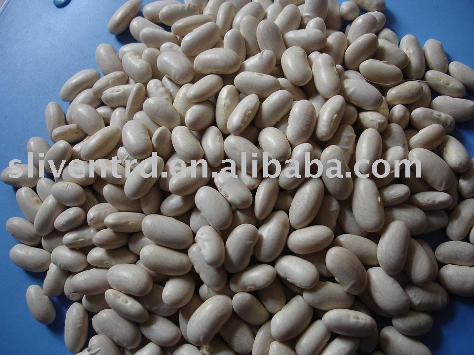 White Kidney Beans: A Versatile Ingredient for Delicious Recipes