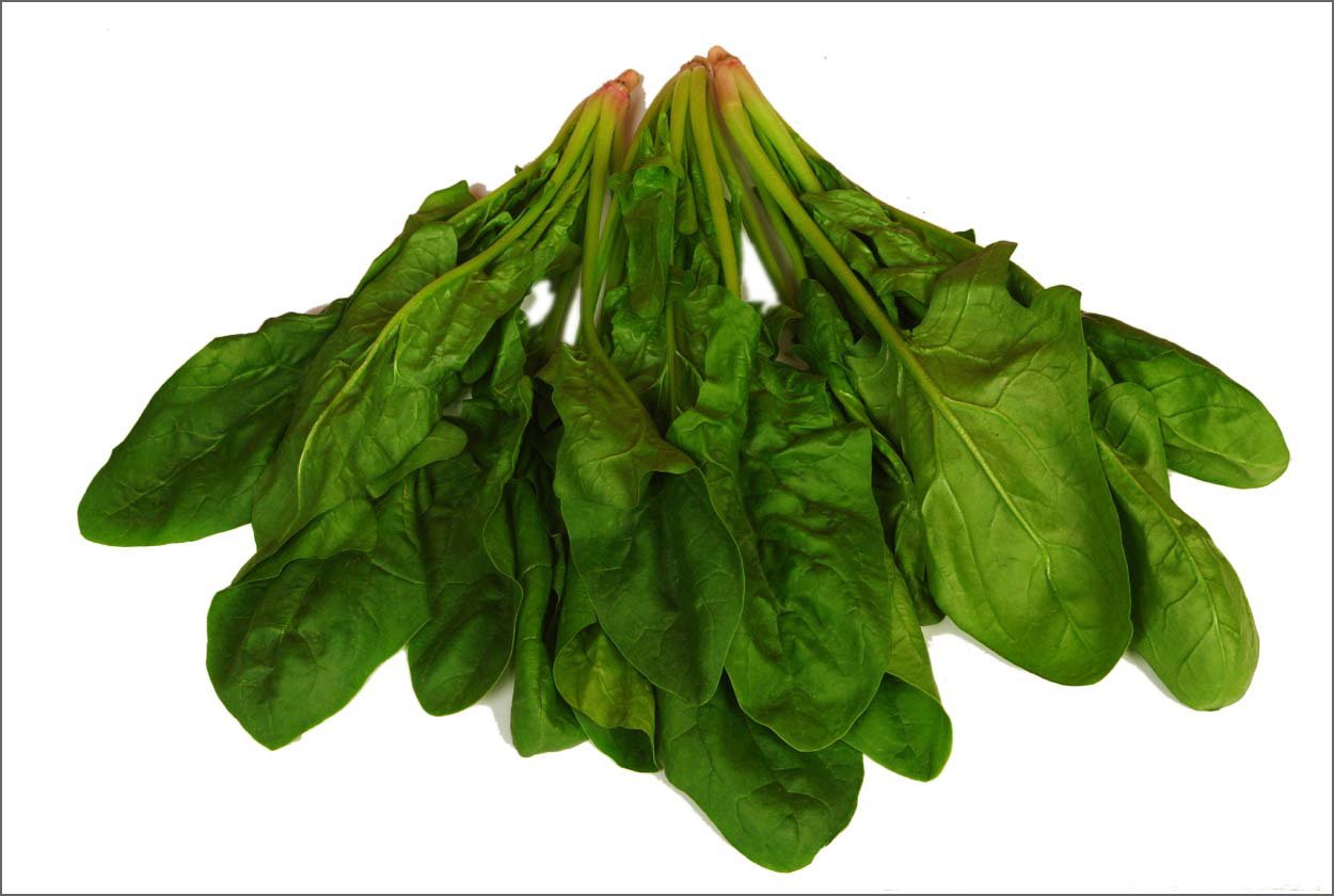 fresh spinach