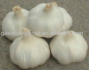 Pure White Garlic China Price Supplier 21food