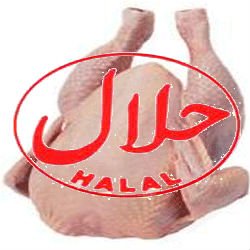 halal chicken