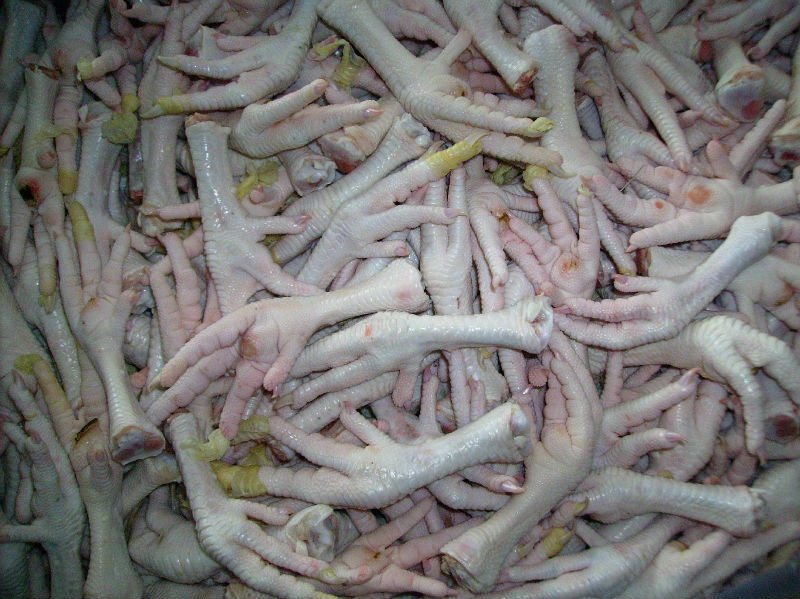 Frozen Chicken Feet Processed - B Grade products,Poland Frozen Chicken