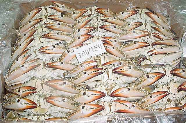 blue crab for sale