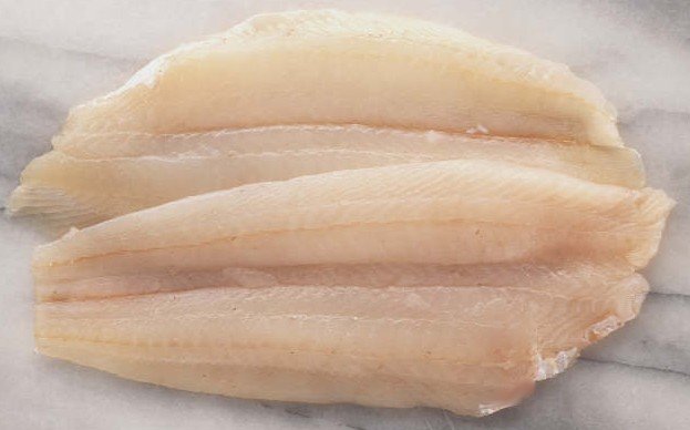 fillet of sole