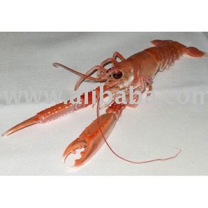 Langoustines