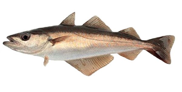 Paveikslėlis