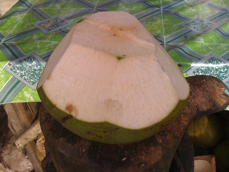 Coconut Products,philippines Coconut Supplier