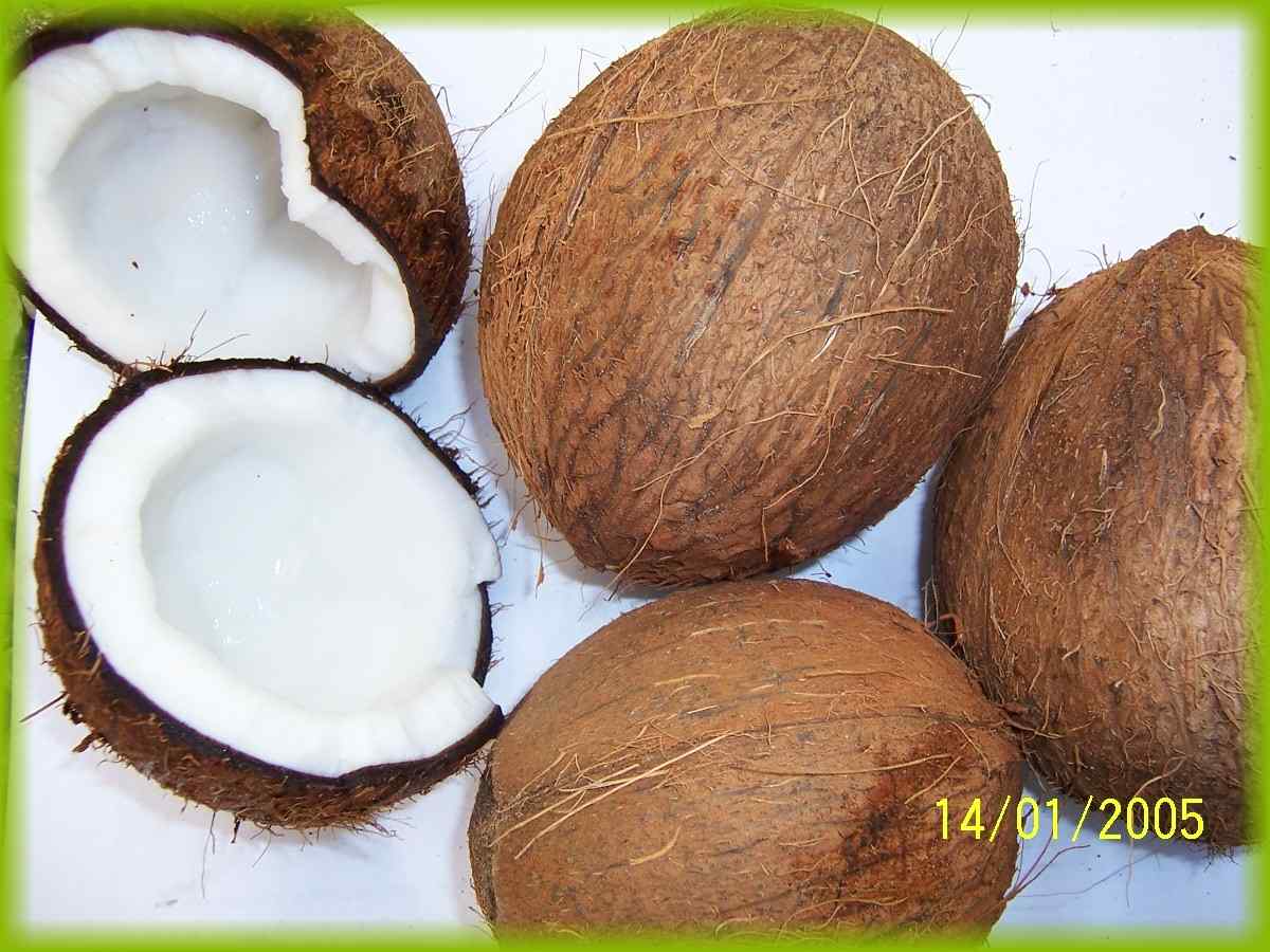 coconut husk