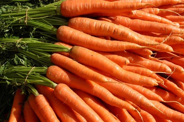 fresh moroccan carrots