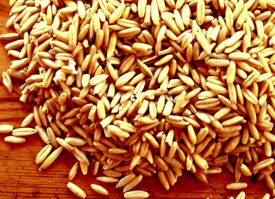 Oat Kernel