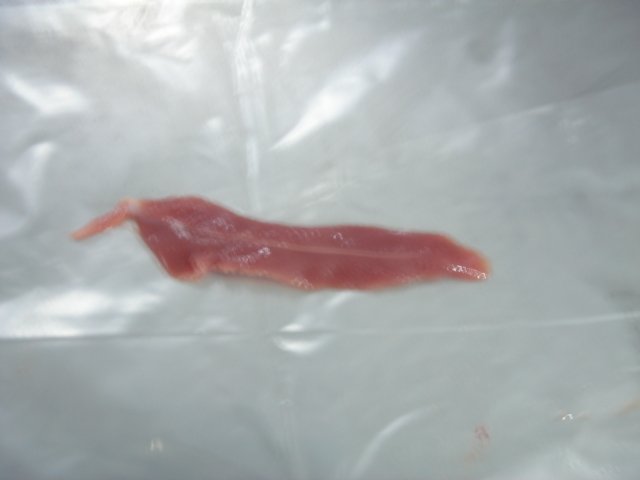 Duck Meat products,Korea Duck Meat supplier