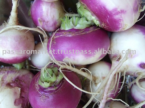 Dried turnip products,China Dried turnip supplie