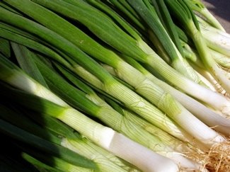 e scallion