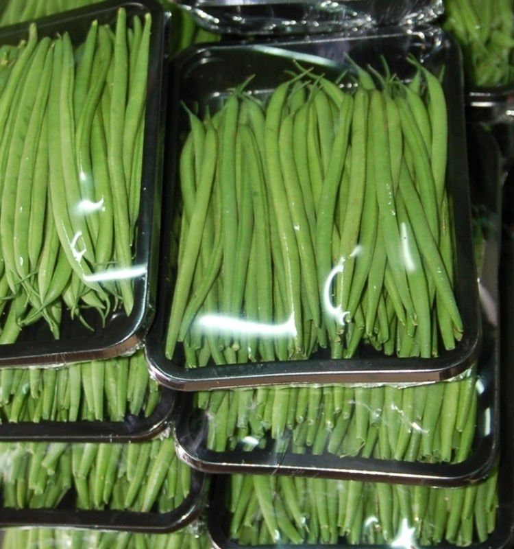 french-beans-fine-products-kenya-french-beans-fine-supplier