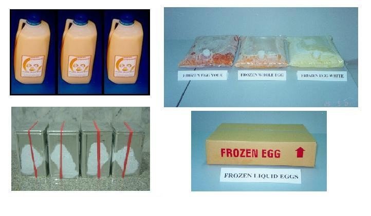 Pasteurized Egg Product