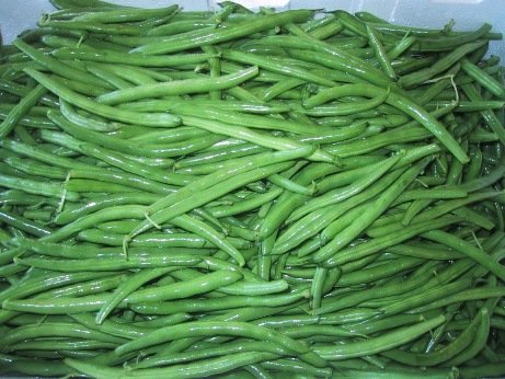 Green Beans Flat