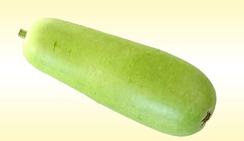 Dudhi Vegetables Products India Dudhi Vegetables Supplier