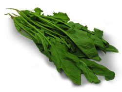 Singapore Spinach Picture on Spinach Products Singapore Spinach Supplier