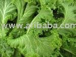 mustard greens