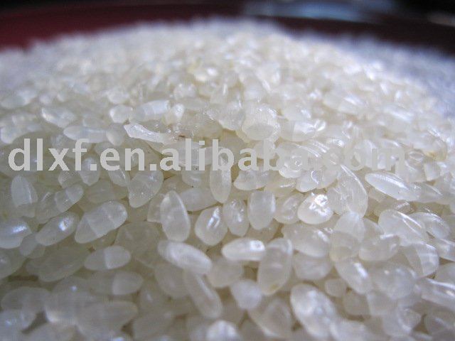 steamed-rice-products-pakistan-steamed-rice-supplier