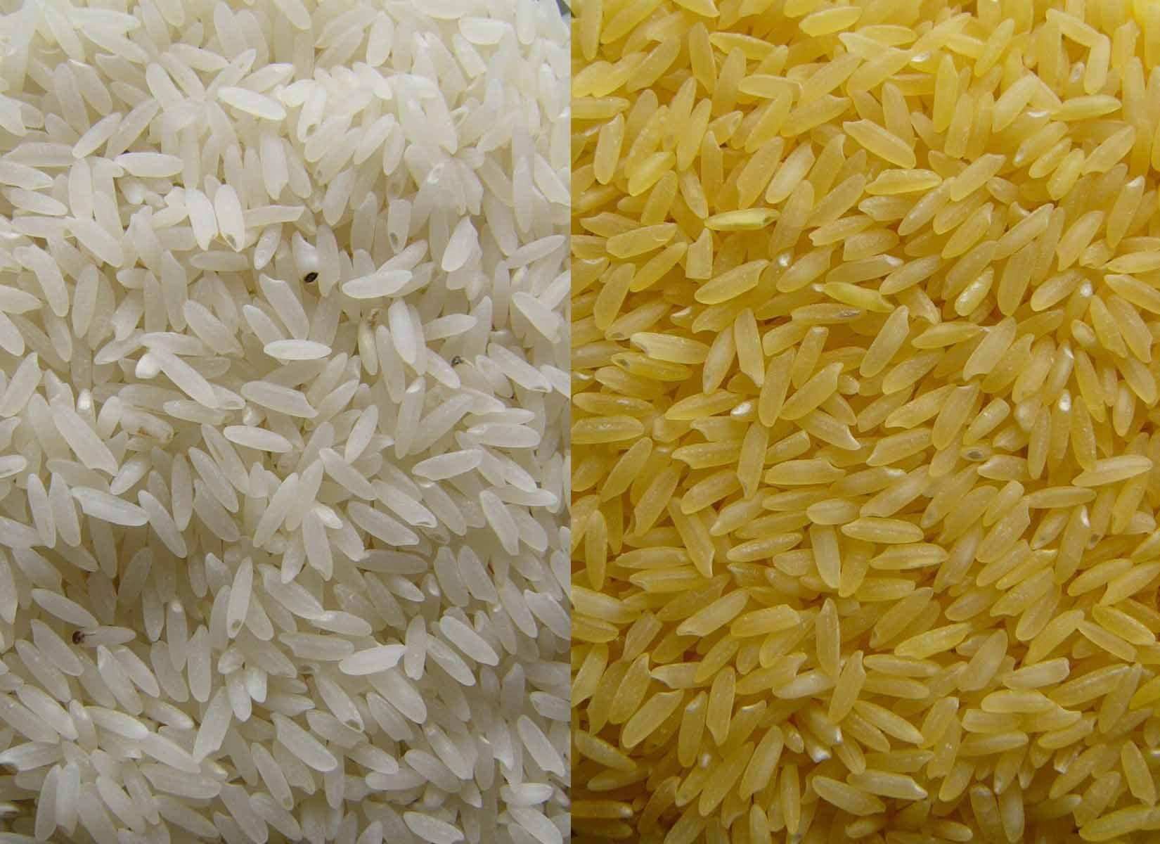 Thai Rice Thai Rice