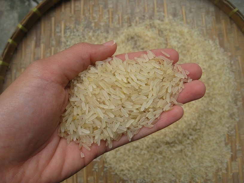 карпов кино скачать
