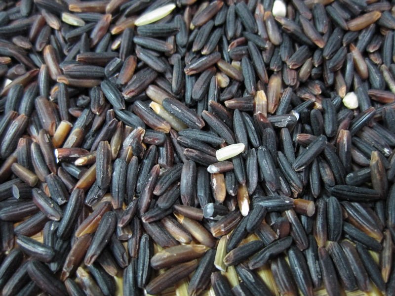 Thai Black Rice