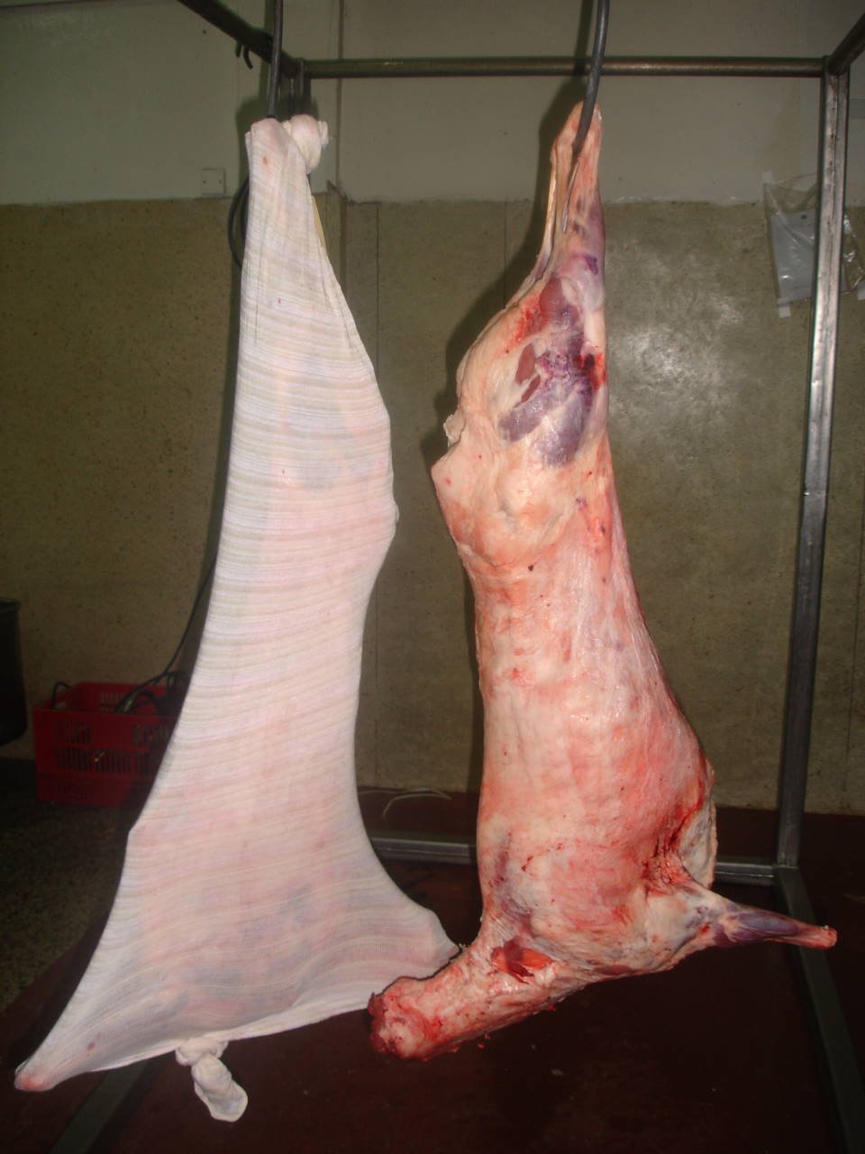 lamb carcass