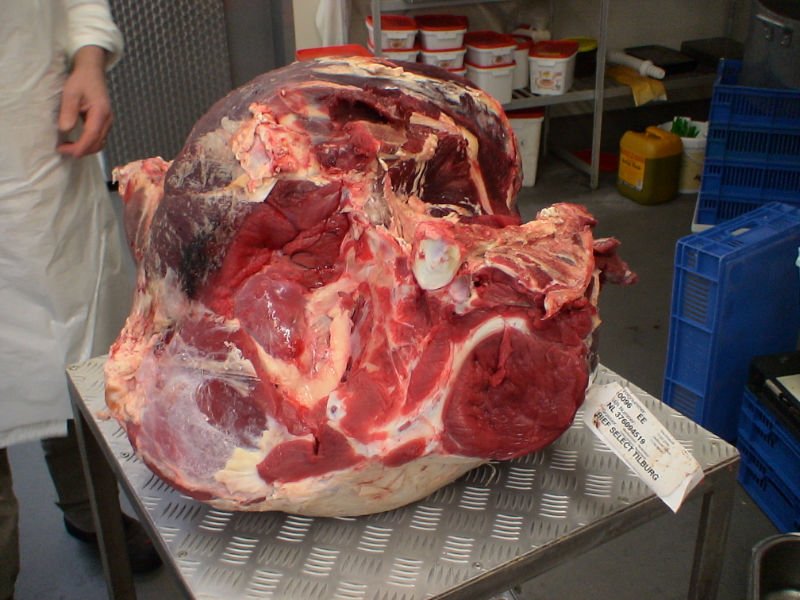 Beef Cattle Parts