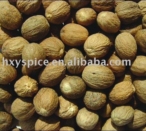 Dutch Indonesian Foods  Sale on Nutmeg For Sale Products Cameroon Nutmeg For Sale Supplier