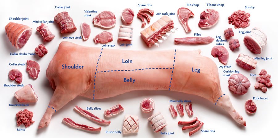 pork cuts products,Poland pork cuts supplier