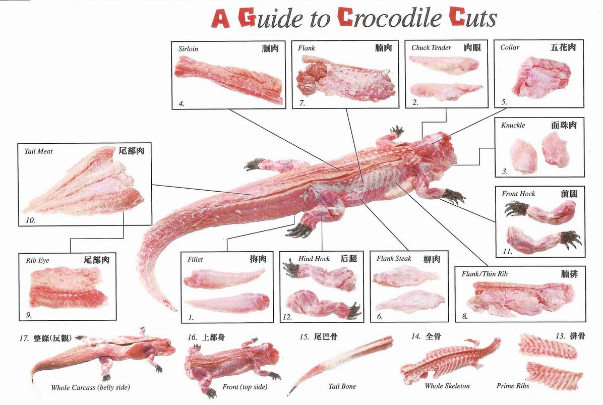 Crocodile meat(Porosus) products,Singapore Crocodile meat(Porosus) supplier