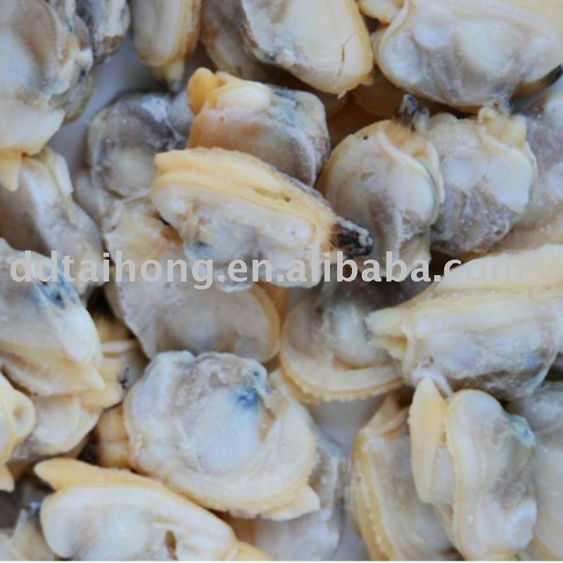 Frozen Cooked Razor Clam Meat Snacks Seafood China Taihong Price