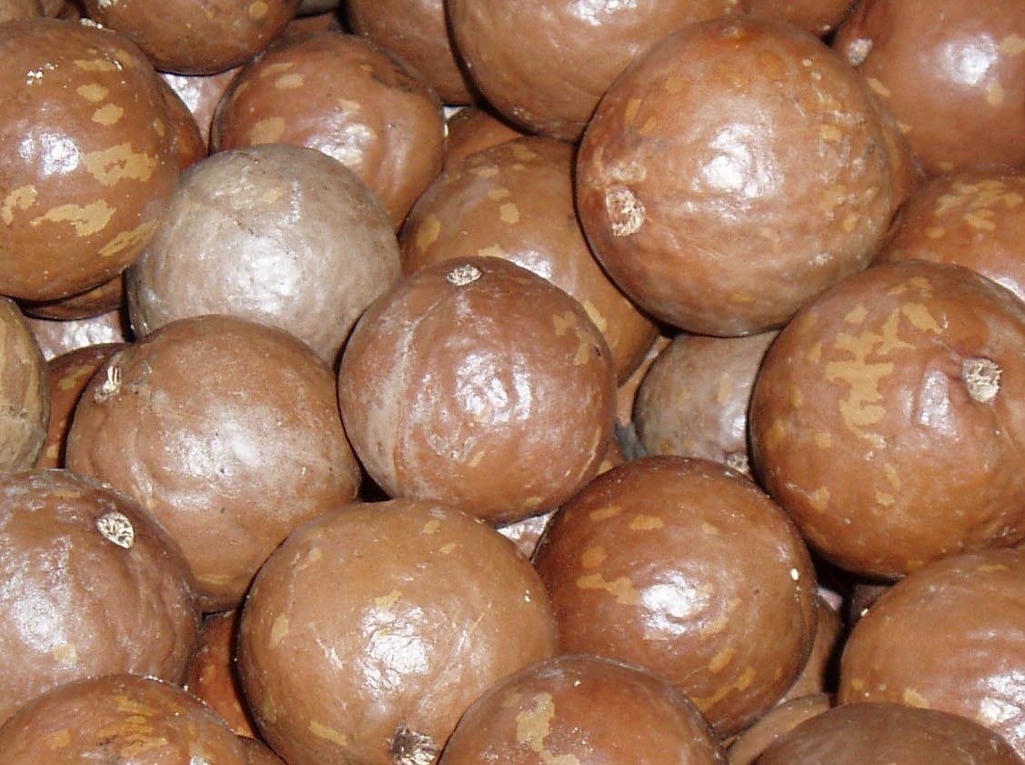 raw macadamia nuts