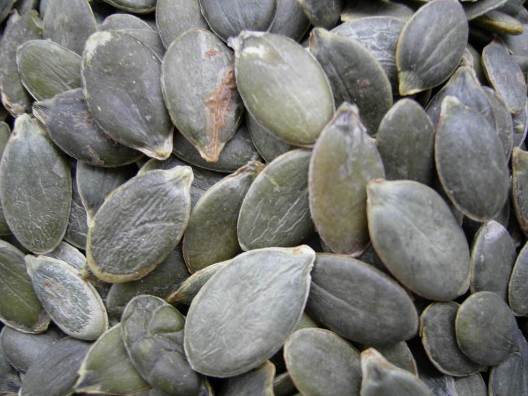 Chinese Melon Seeds In Shell Products,china Chinese Melon Seeds In 