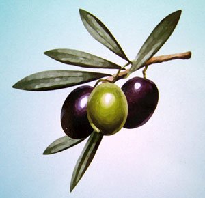 RHAMNA. - Olives and Olive Oil, Argan Oil, Infu