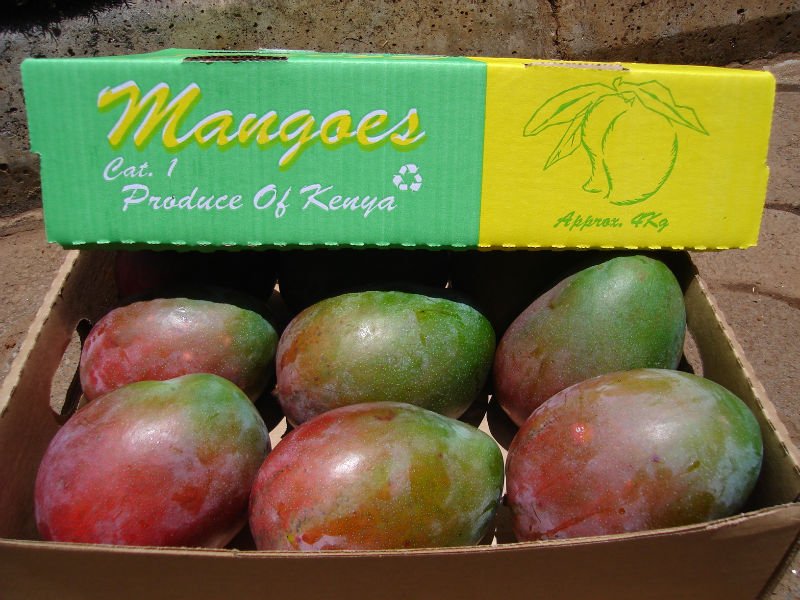 Mangoes products,Kenya Mangoes supplier