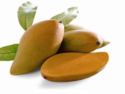 Type Of Mango