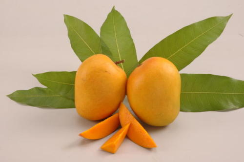 mango images fruit