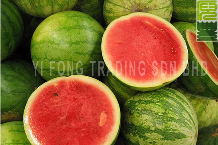 Seedless Watermelon Season Florida For Sale Productscameroon Seedless