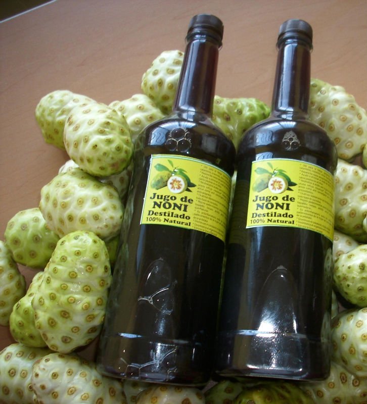 100% Natural Organic Noni Tea products,Netherlands Antilles 100 ...