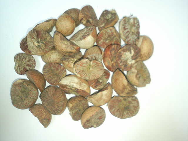 Betelnut