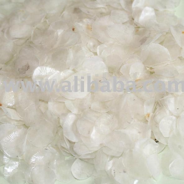 Dried fish scale for sale products,Cameroon Dried fish scale for sale