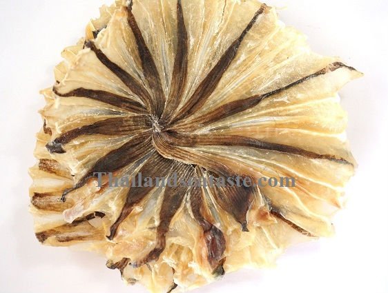 Dried Stingrays products,Thailand Dried Stingrays supplier